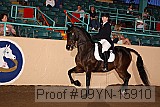 09yn-15910 proof