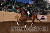 09yn-15911 proof