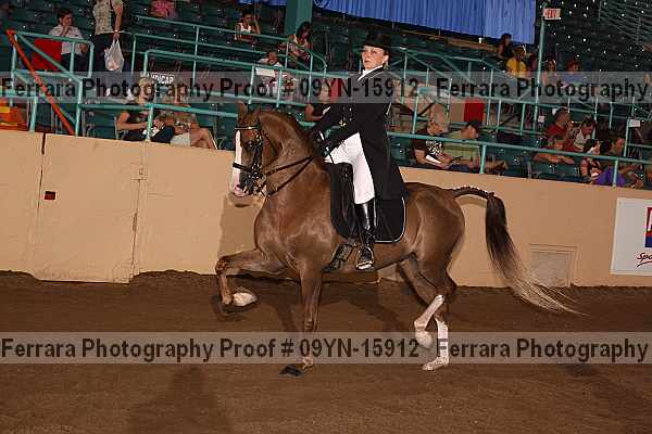 Proof 09yn-15912