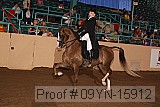 09yn-15912 proof