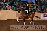09yn-15916 proof