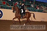 09yn-15917 proof