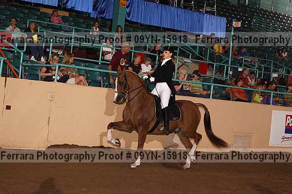 Proof 09yn-15918