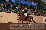09yn-15918 proof