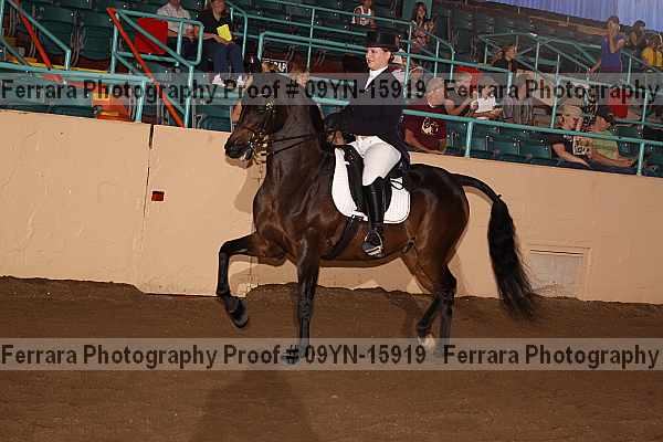 Proof 09yn-15919
