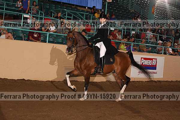 Proof 09yn-15920
