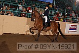 09yn-15921 proof