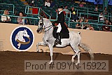 09yn-15922 proof
