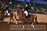 09yn-15924 proof