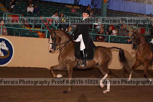 Proof 09yn-15926
