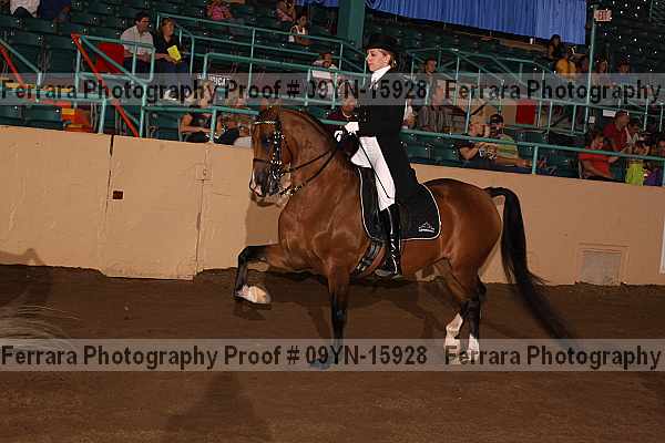 Proof 09yn-15928