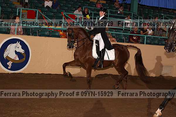 Proof 09yn-15929