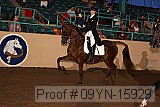 09yn-15929 proof