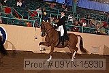 09yn-15930 proof
