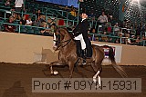 09yn-15931 proof
