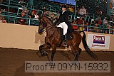 09yn-15932 proof
