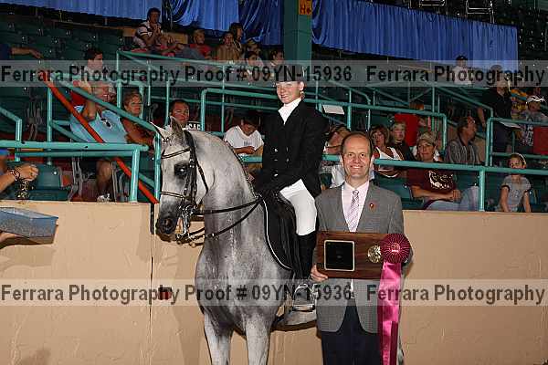 Proof 09yn-15936
