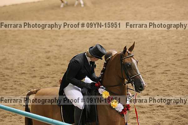 Proof 09yn-15951
