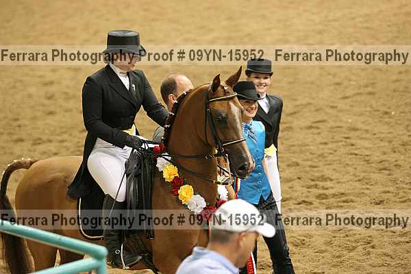 Proof 09yn-15952