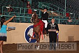 09yn-15961 proof