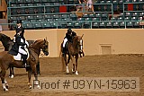 09yn-15963 proof