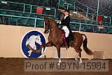 09yn-15984 proof