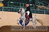09yn-15988 proof