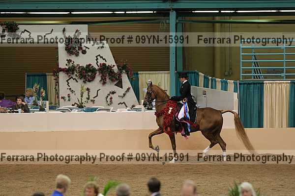 Proof 09yn-15991