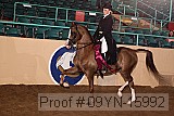 09yn-15992 proof
