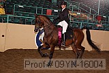09yn-16004 proof