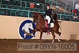 09yn-16005 proof
