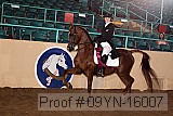 09yn-16007 proof