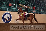 09yn-16008 proof