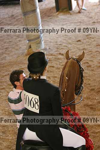 Proof 09yn-16013