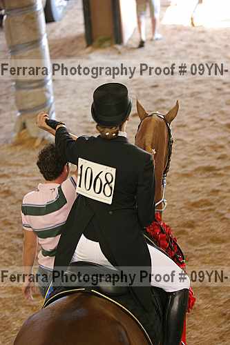 Proof 09yn-16014