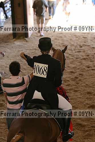Proof 09yn-16015