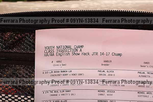 Proof 09yn-13834