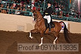 09yn-13835 proof