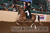 09yn-13836 proof
