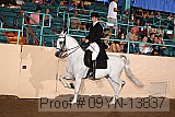 09yn-13837 proof