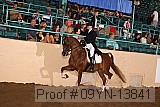 09yn-13841 proof