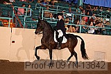 09yn-13842 proof