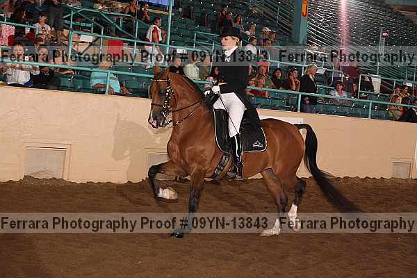 Proof 09yn-13843