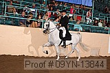 09yn-13844 proof