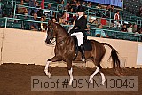 09yn-13845 proof