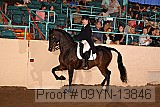 09yn-13846 proof