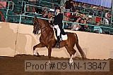 09yn-13847 proof