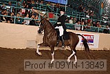 09yn-13849 proof