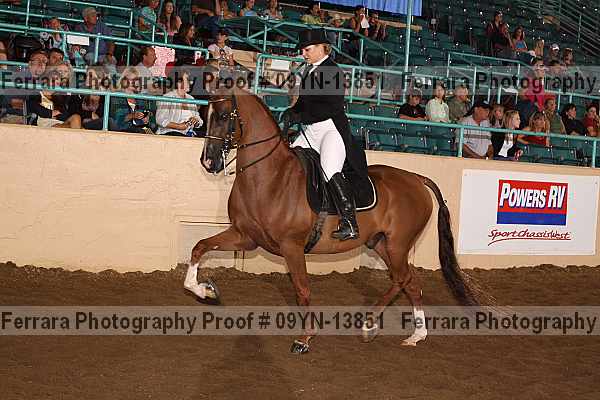 Proof 09yn-13851