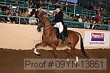 09yn-13851 proof